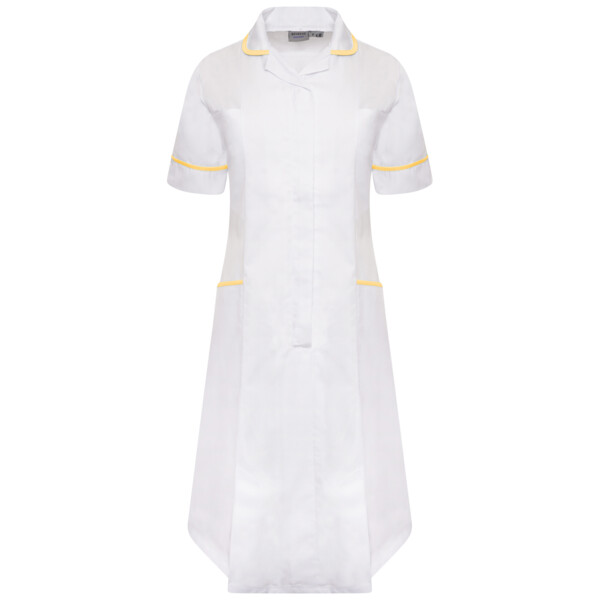 Ladies Dress Thumbnail