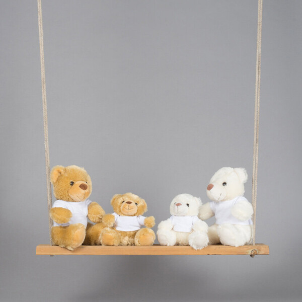 Bear in a t-shirt Thumbnail