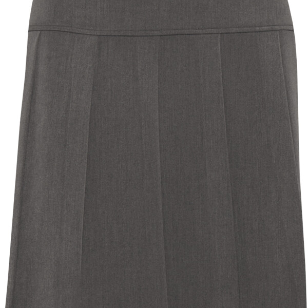 Junior Charleston Pleated Skirt Thumbnail
